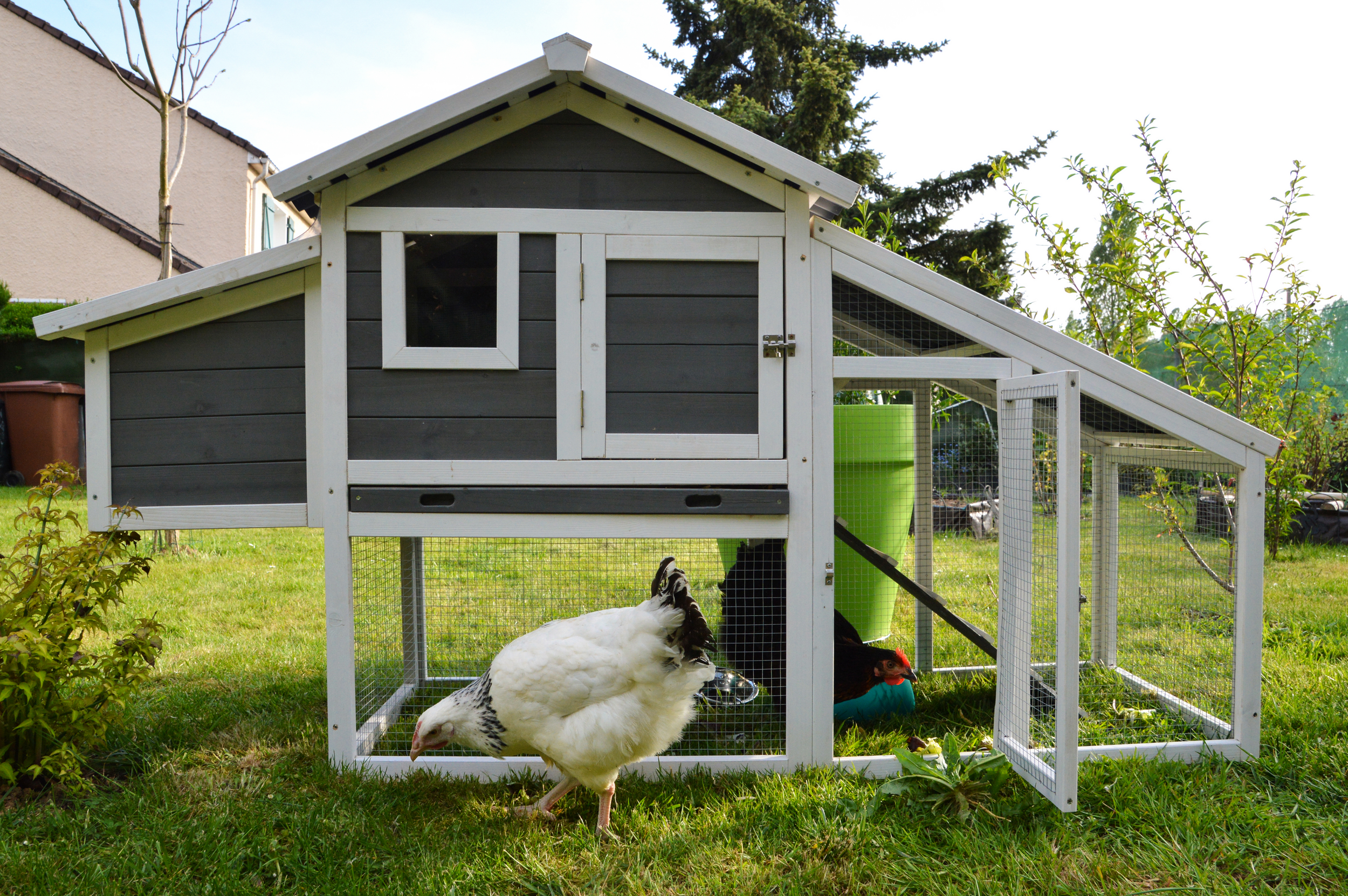 How to Install an Automatic Chicken Coop Door