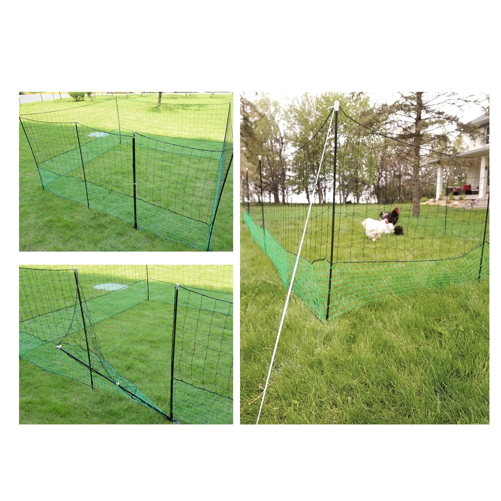 Chicken Netting Fence - Electric Poultry Net