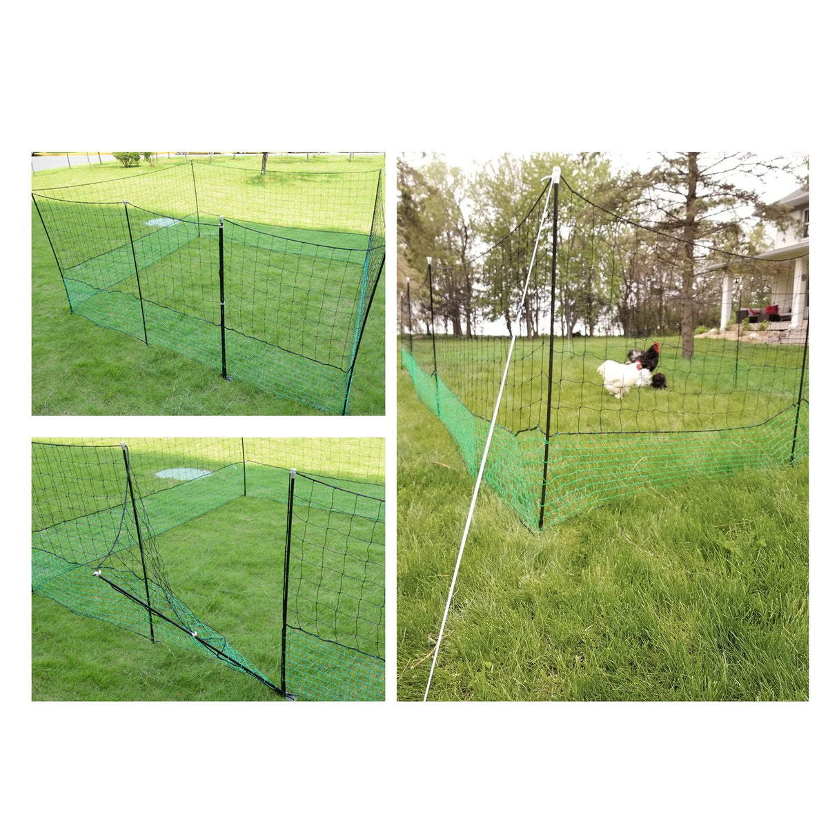 60m Electric Chicken Netting Fence | 115cm High, Predator-Proof Poultry Net Kit (20 Posts)