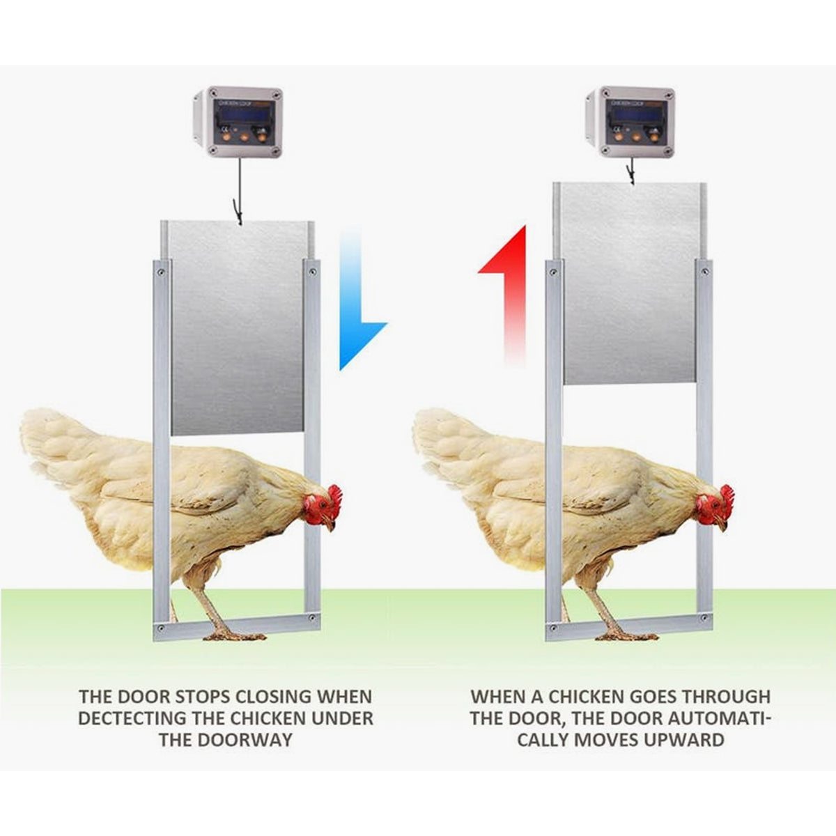 Automatic Induction